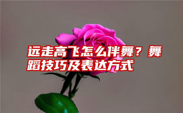 远走高飞怎么伴舞？舞蹈技巧及表达方式