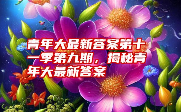 青年大最新答案第十一季第九期，揭秘青年大最新答案