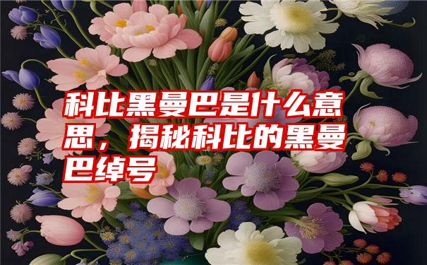 科比黑曼巴是什么意思，揭秘科比的黑曼巴绰号