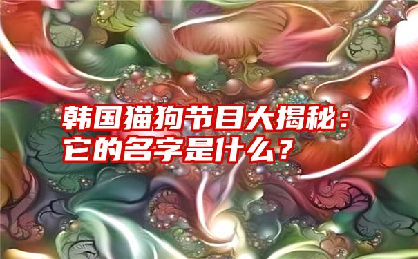 韩国猫狗节目大揭秘：它的名字是什么？