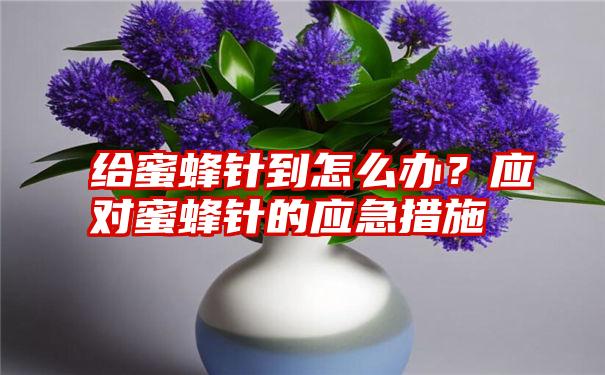 给蜜蜂针到怎么办？应对蜜蜂针的应急措施