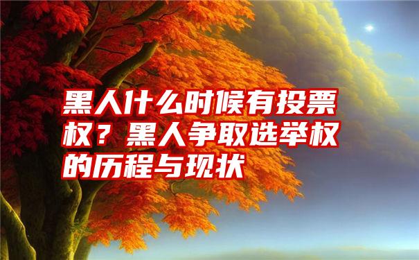 黑人什么时候有投票权？黑人争取选举权的历程与现状