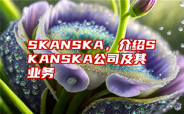 SKANSKA，介绍SKANSKA公司及其业务