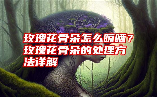 玫瑰花骨朵怎么晾晒？玫瑰花骨朵的处理方法详解