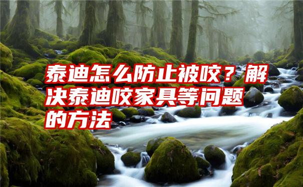 泰迪怎么防止被咬？解决泰迪咬家具等问题的方法