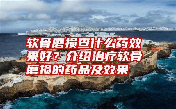 软骨磨损查什么药效果好？介绍治疗软骨磨损的药品及效果