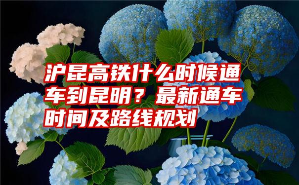 沪昆高铁什么时候通车到昆明？最新通车时间及路线规划