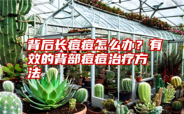 背后长痘痘怎么办？有效的背部痘痘治疗方法