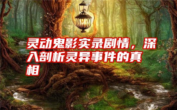 灵动鬼影实录剧情，深入剖析灵异事件的真相