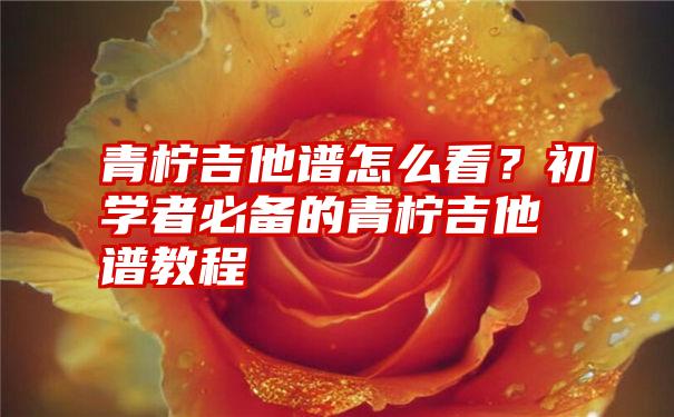 青柠吉他谱怎么看？初学者必备的青柠吉他谱教程