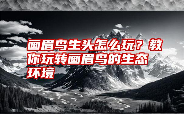 画眉鸟生头怎么玩？教你玩转画眉鸟的生态环境