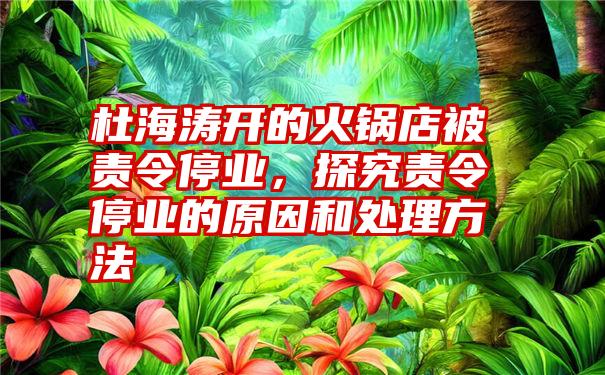 杜海涛开的火锅店被责令停业，探究责令停业的原因和处理方法