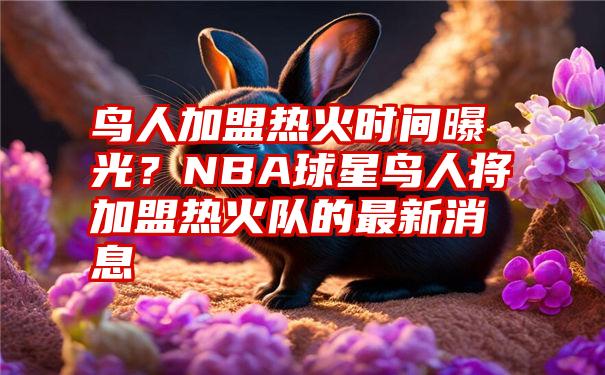 鸟人加盟热火时间曝光？NBA球星鸟人将加盟热火队的最新消息