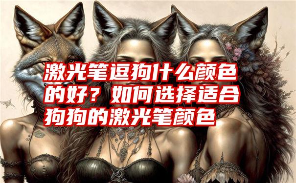 激光笔逗狗什么颜色的好？如何选择适合狗狗的激光笔颜色