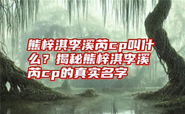 熊梓淇李溪芮cp叫什么？揭秘熊梓淇李溪芮cp的真实名字