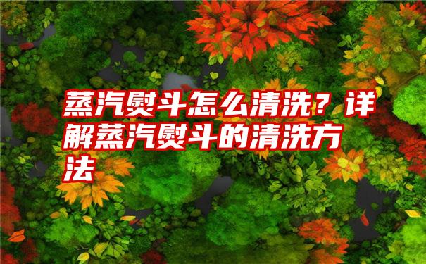 蒸汽熨斗怎么清洗？详解蒸汽熨斗的清洗方法