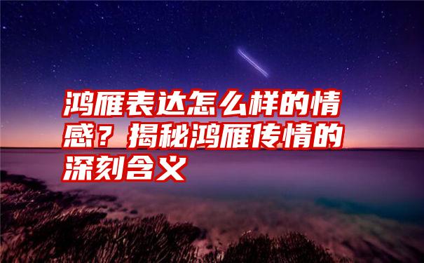 鸿雁表达怎么样的情感？揭秘鸿雁传情的深刻含义