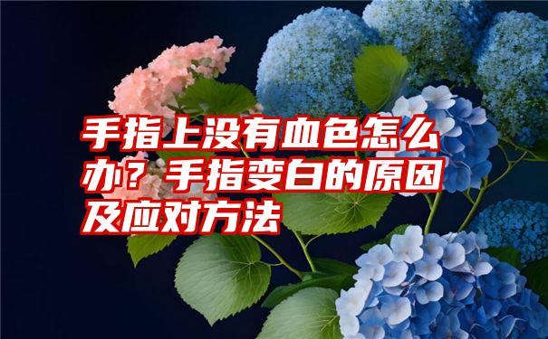 手指上没有血色怎么办？手指变白的原因及应对方法