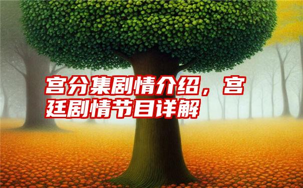 宫分集剧情介绍，宫廷剧情节目详解