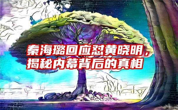 秦海璐回应怼黄晓明，揭秘内幕背后的真相