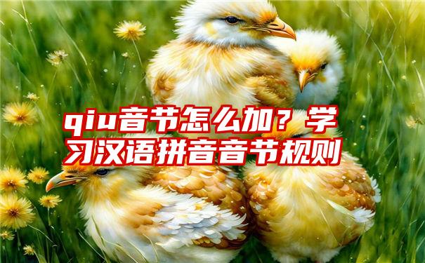 qiu音节怎么加？学习汉语拼音音节规则