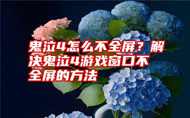 鬼泣4怎么不全屏？解决鬼泣4游戏窗口不全屏的方法