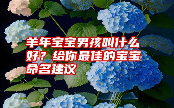 羊年宝宝男孩叫什么好？给你最佳的宝宝命名建议