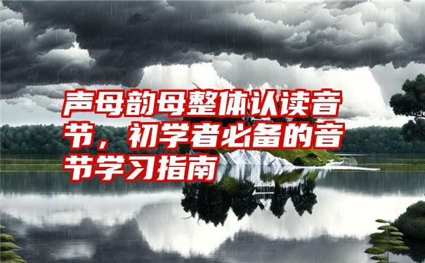 声母韵母整体认读音节,初学者必备的音节学习指南