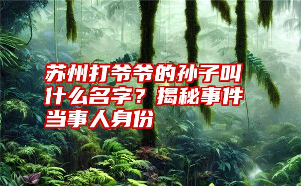 苏州打爷爷的孙子叫什么名字？揭秘事件当事人身份