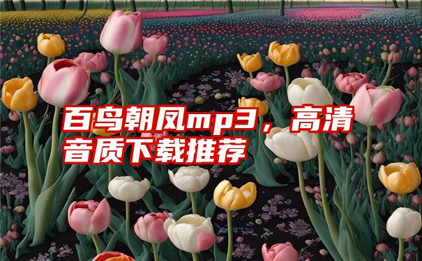 百鸟朝凤mp3，高清音质下载推荐