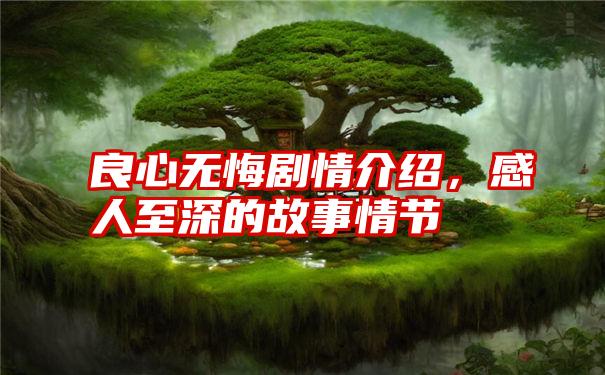 良心无悔剧情介绍，感人至深的故事情节