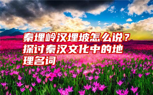 秦埋岭汉埋坡怎么说？探讨秦汉文化中的地理名词