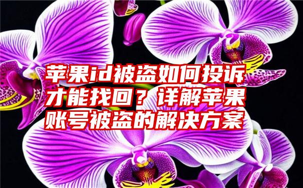 苹果id被盗如何投诉才能找回？详解苹果账号被盗的解决方案