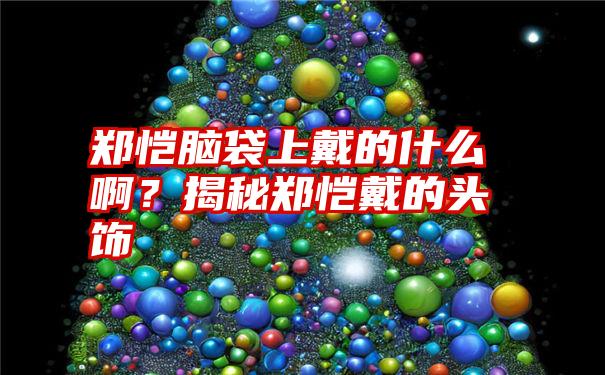 郑恺脑袋上戴的什么啊？揭秘郑恺戴的头饰