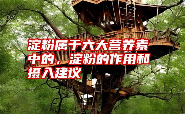 淀粉属于六大营养素中的，淀粉的作用和摄入建议