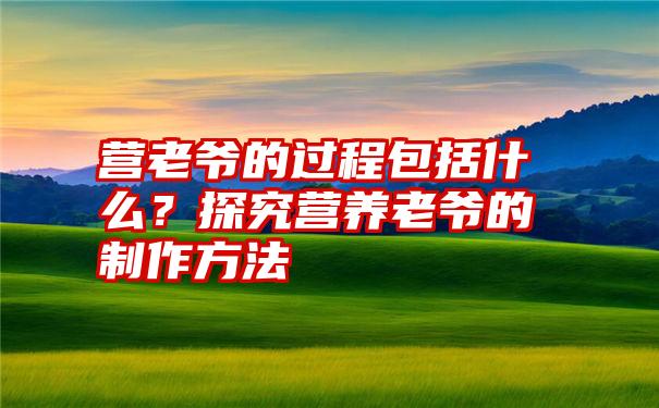 营老爷的过程包括什么？探究营养老爷的制作方法