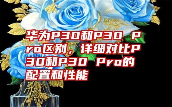 华为P30和P30 Pro区别，详细对比P30和P30 Pro的配置和性能