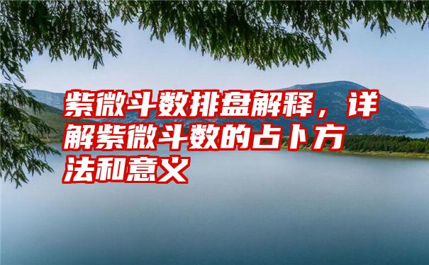 紫微斗数排盘解释，详解紫微斗数的占卜方法和意义