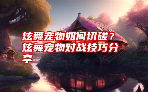 炫舞宠物如何切磋？炫舞宠物对战技巧分享