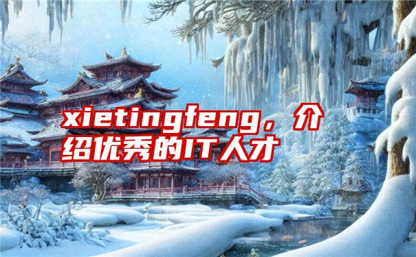 xietingfeng，介绍优秀的IT人才