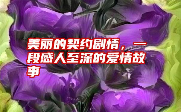 美丽的契约剧情，一段感人至深的爱情故事