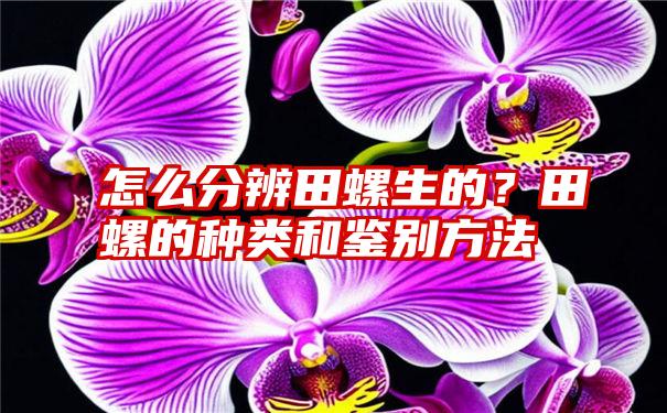 怎么分辨田螺生的？田螺的种类和鉴别方法