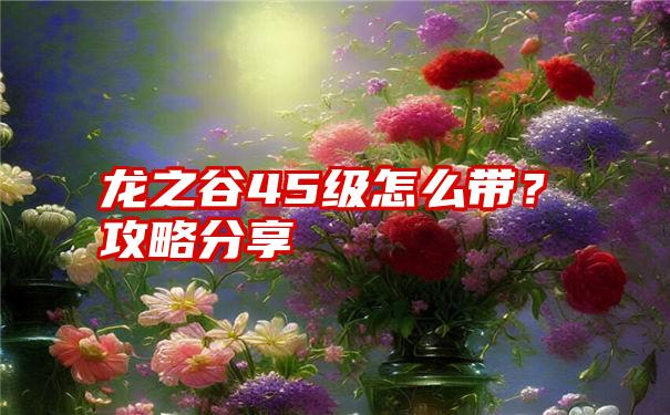 龙之谷45级怎么带？攻略分享