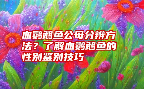 血鹦鹉鱼公母分辨方法？了解血鹦鹉鱼的性别鉴别技巧