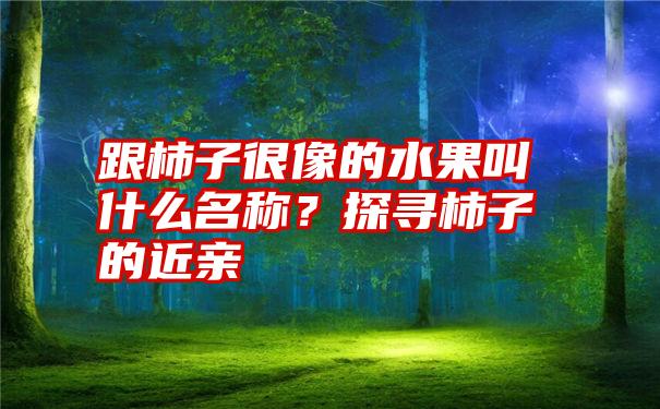 跟柿子很像的水果叫什么名称？探寻柿子的近亲