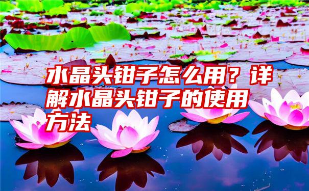 水晶头钳子怎么用？详解水晶头钳子的使用方法