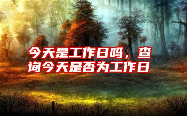 今天是工作日吗，查询今天是否为工作日