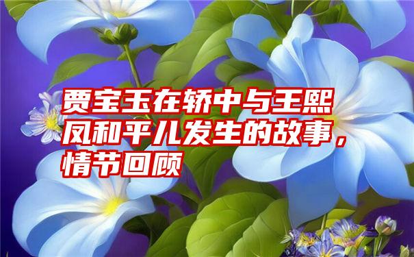 贾宝玉在轿中与王熙凤和平儿发生的故事，情节回顾