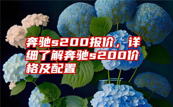 奔驰s200报价，详细了解奔驰s200价格及配置