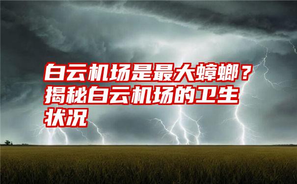 白云机场是最大蟑螂？揭秘白云机场的卫生状况